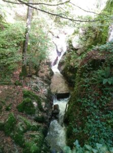 IMG_20241002_143131_388 (1)