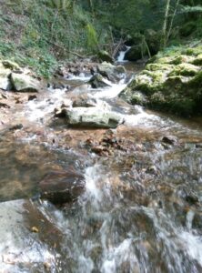 IMG_20241002_143807_591 (1)